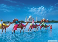 Indian Travel Packages